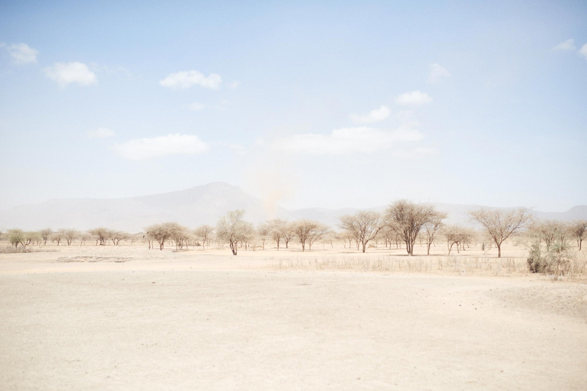 MANUEL FERRIGATO DRY